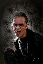 stefan-manderioli