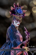 Dama-rosa