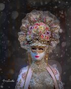 Dama-rose-sul-capo