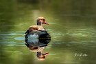 Fistione-turco-duo