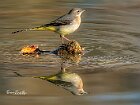 Ballerina-gialla-pietra