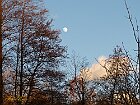 Luna di giorno