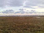 Laguna Veneta