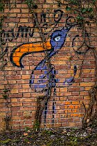 Murales-uccello
