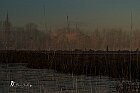 Venezia e canneto