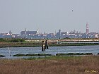 Laguna veneziana
